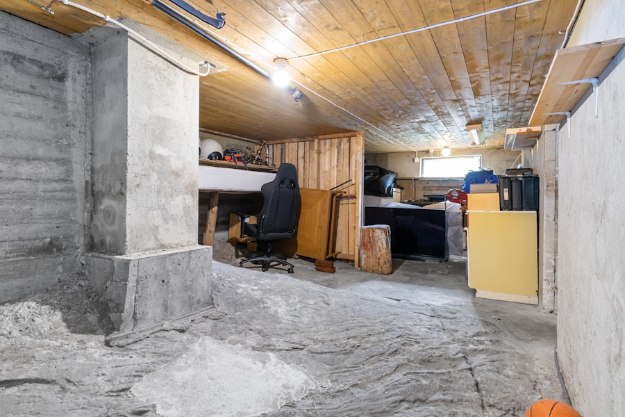 Basement Ideas