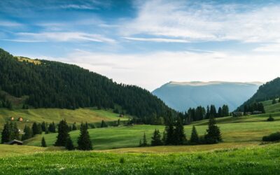 How to Plan the Perfect Home Upgrade