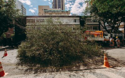 Exterior Upgrades That Improve Curb Appeal Instantly